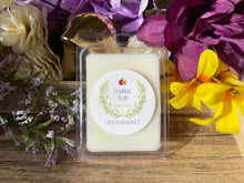 Load image into Gallery viewer, Cashmere Plum, wax melts